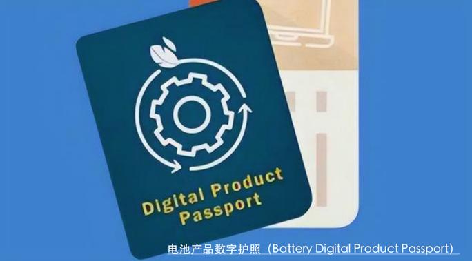行业DPP的意思
