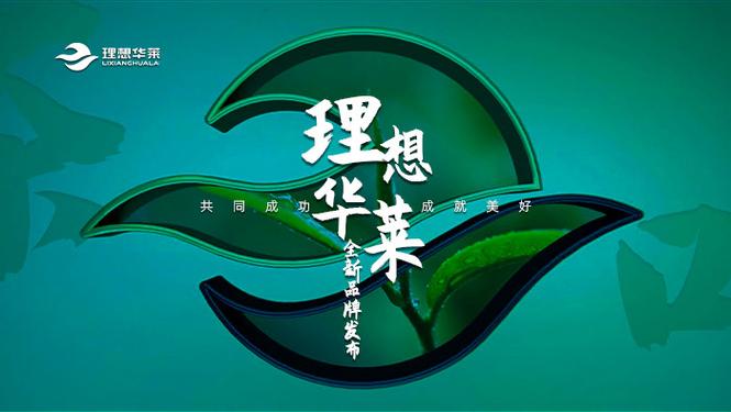 68268268理想华莱平台