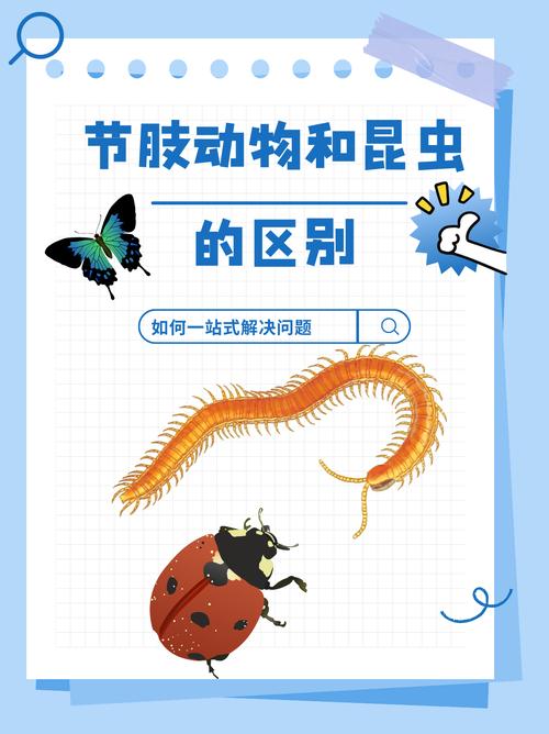 烈焰人是节肢动物吗