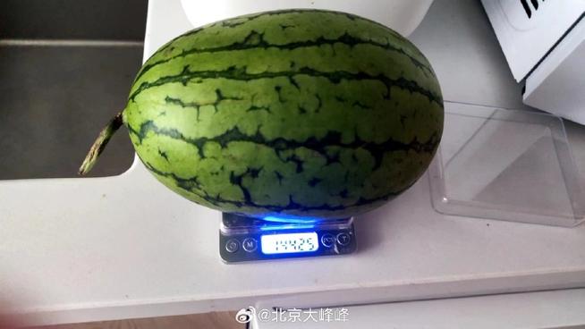 一个西瓜多少kg截图
