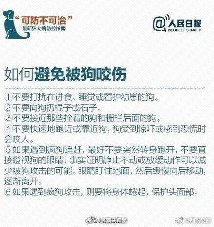 狗被咬伤能自己治愈吗