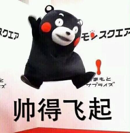十大最帅表情包
