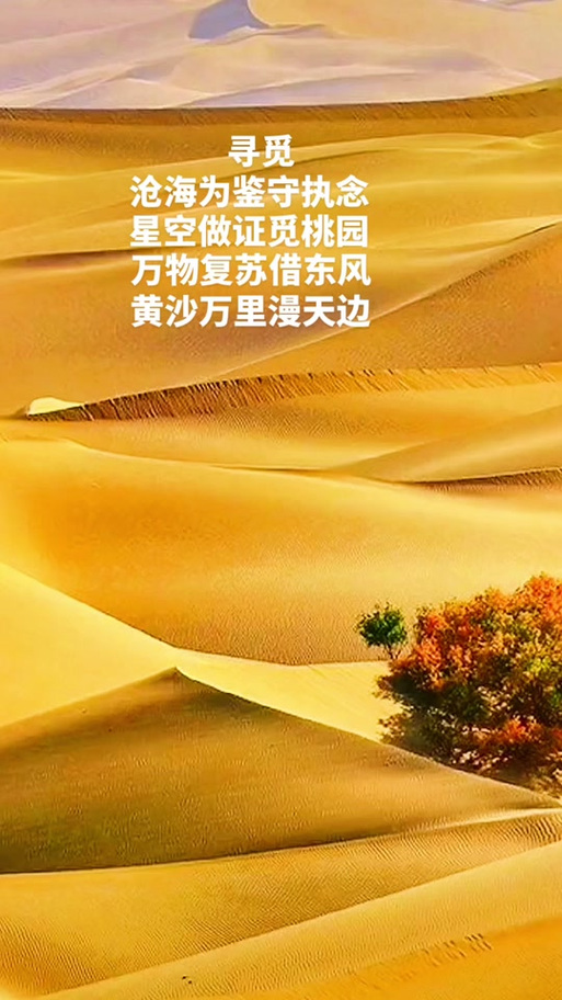 寻觅怎么解释