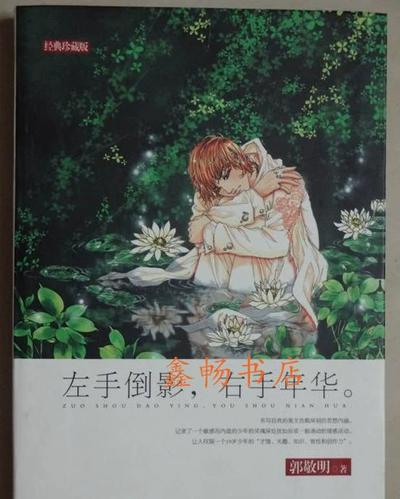 左手倒影右手年华在线阅读