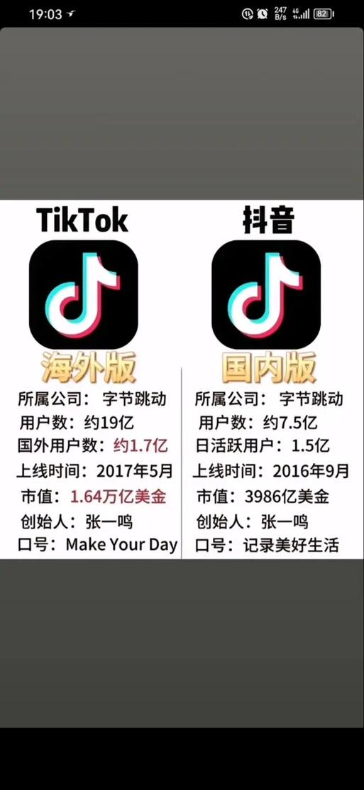 美版抖音