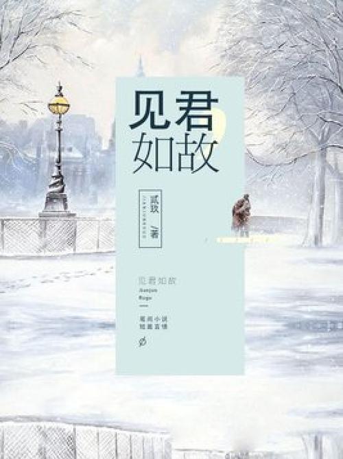 见君如故