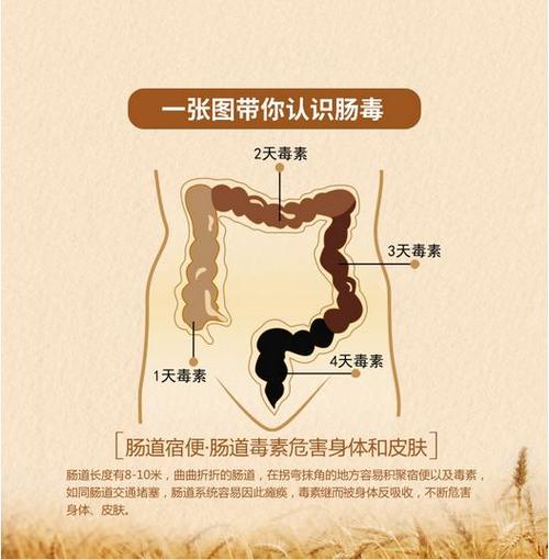 晚上喝盐水能排宿便吗图标