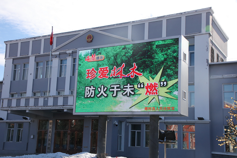 2019年森林防火年终总结报告