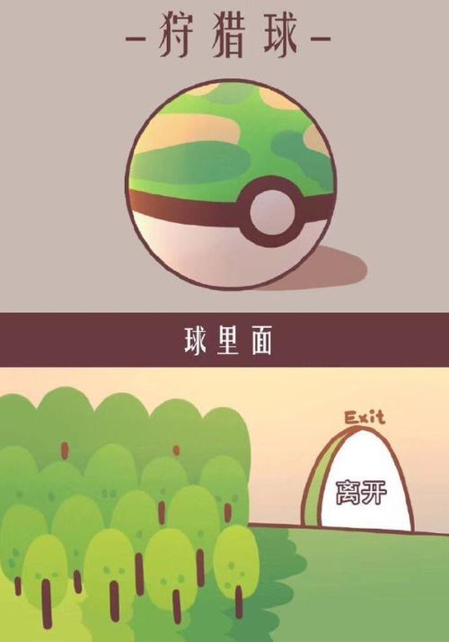 球大师