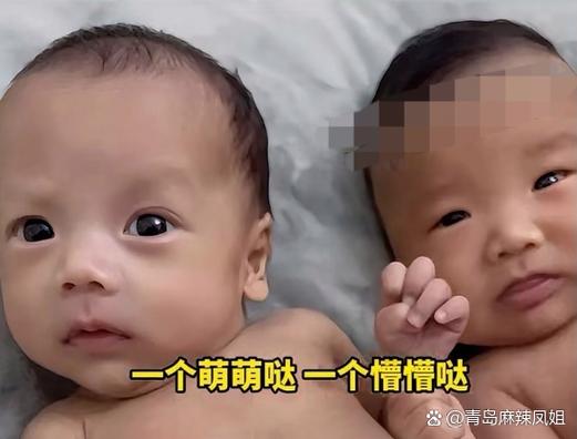大眼睛和小眼睛的视野