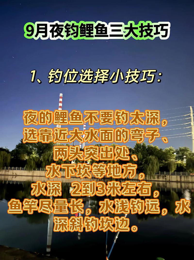 钓鲤鱼用什么竿最好