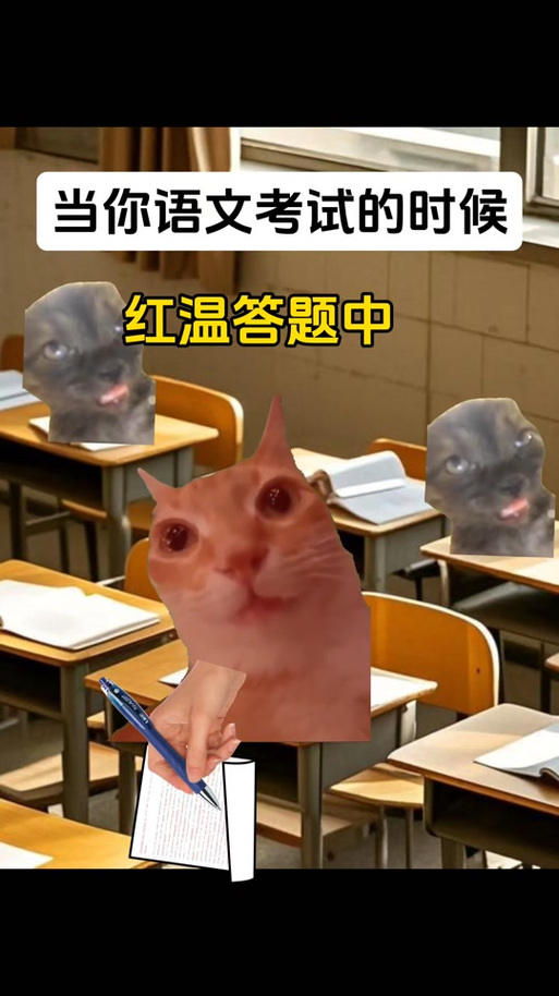 猫meme红温表情包图标