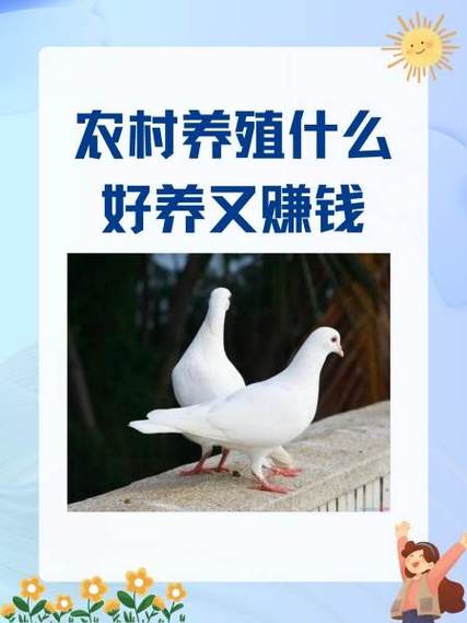 农村养殖什么赚钱