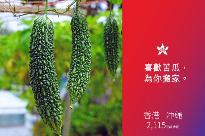舱宝鹅官网进入
