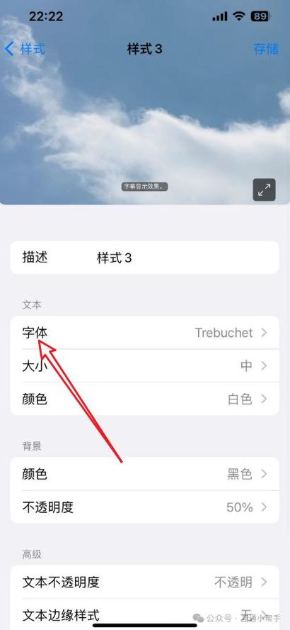 苹果手机怎么调整字体大小