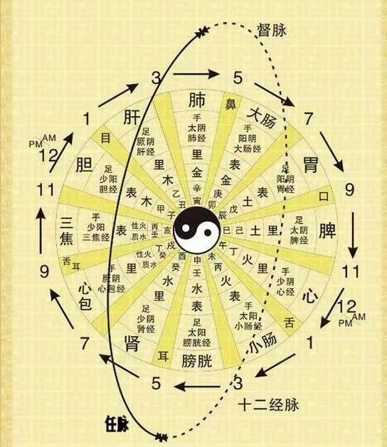 子午流注开穴法的功效与作用