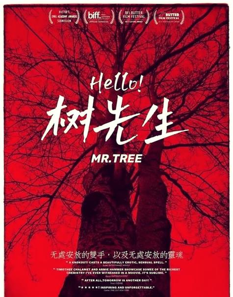 hello树先生剧情介绍详细