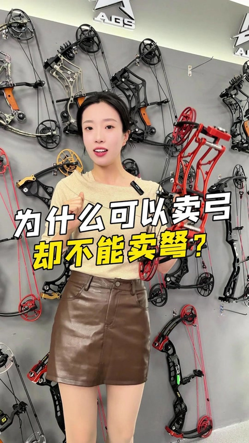 私人可以持有弩吗