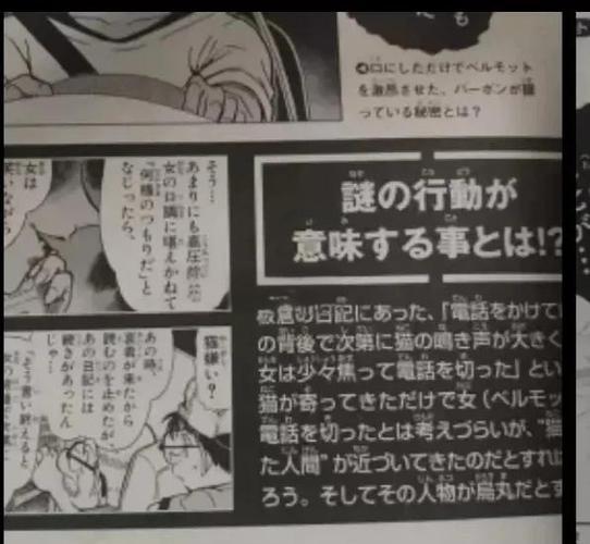 ANK简体汉化
