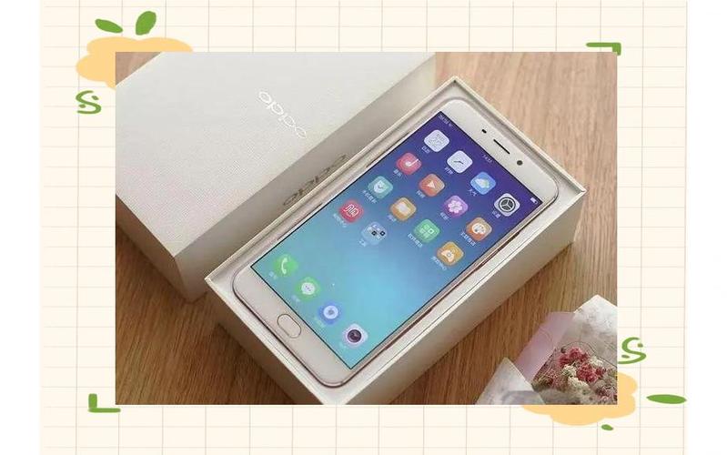 oppo手机验真伪的方法