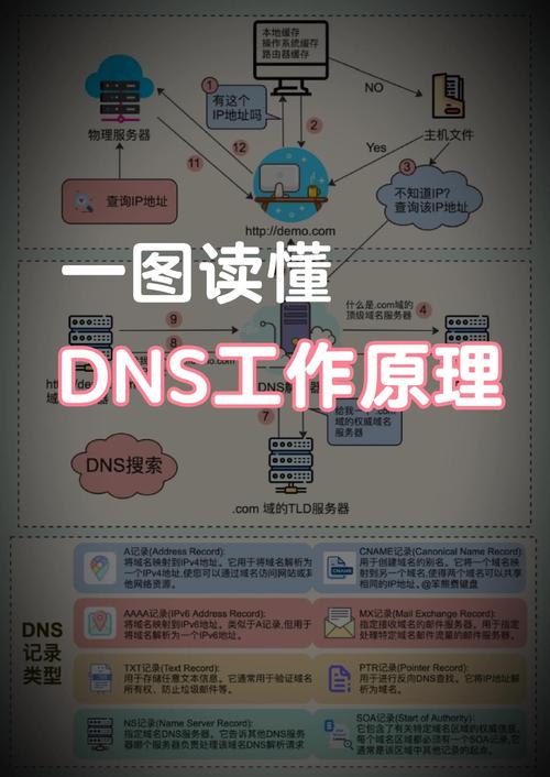 flk网络意思