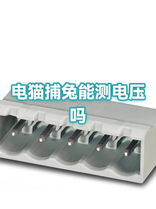 电猫打兔子线多高合适
