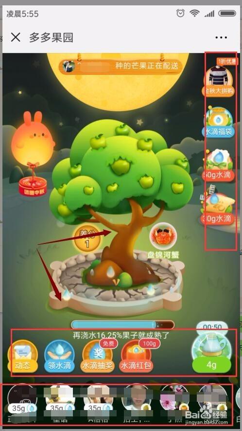 多多果园领红包