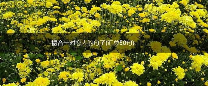 夸两人绝配的句子