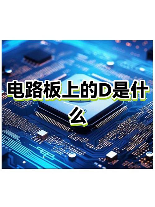 D这个字母代表了什么意思