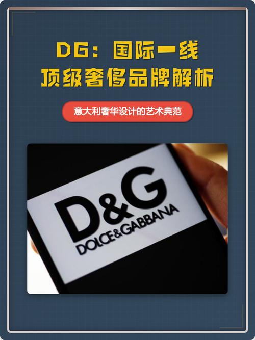 dg官网中文官方