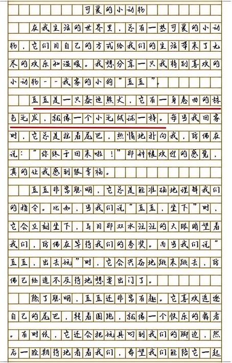 畸形～小茹和流浪小狗的作文内容小