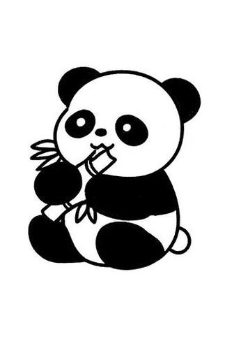 黑白熊猫