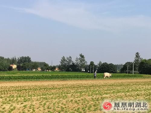 孝感飞机场搬迁的村子