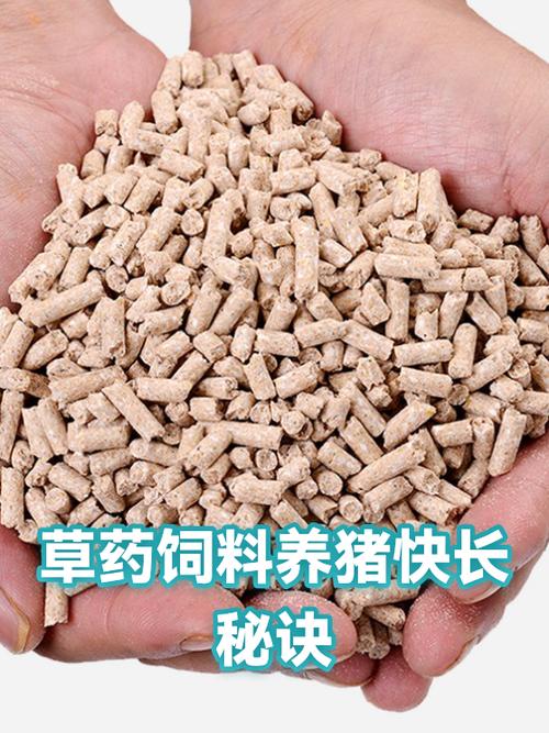 怎样养猪长得快