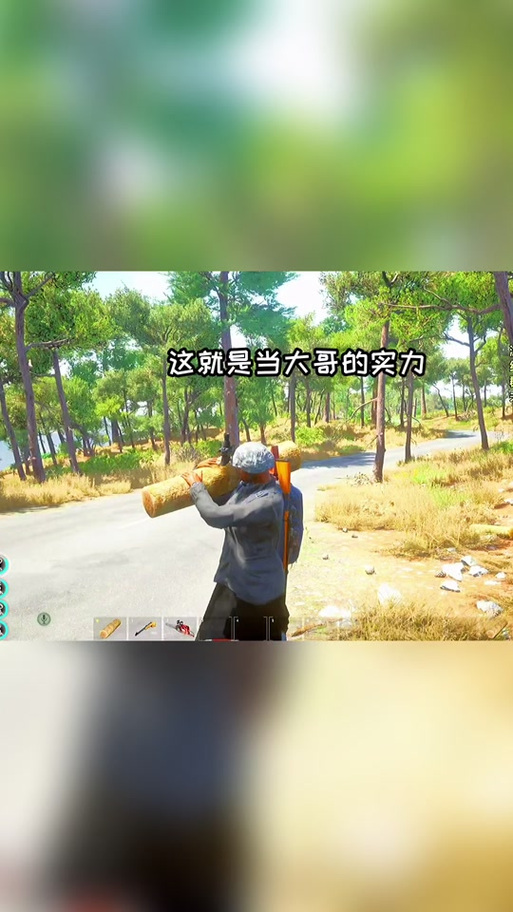 抖音宋开心玩的游戏