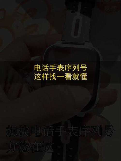 电话手表号码在哪里看