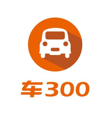 车300是什么平台缩略图