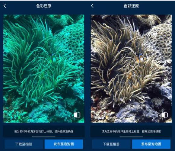 苹果手机怎么恢复原来的色彩