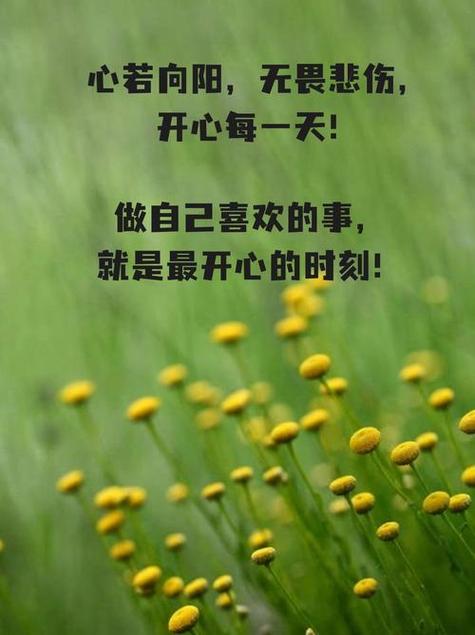翻看相册的心情说说