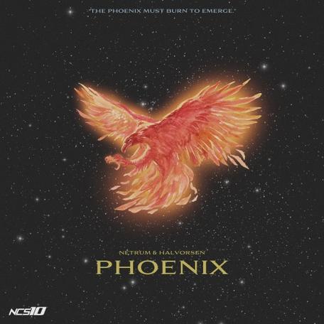 the phoenix百度云