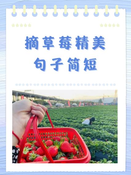 果园摘果朋友圈说说图标