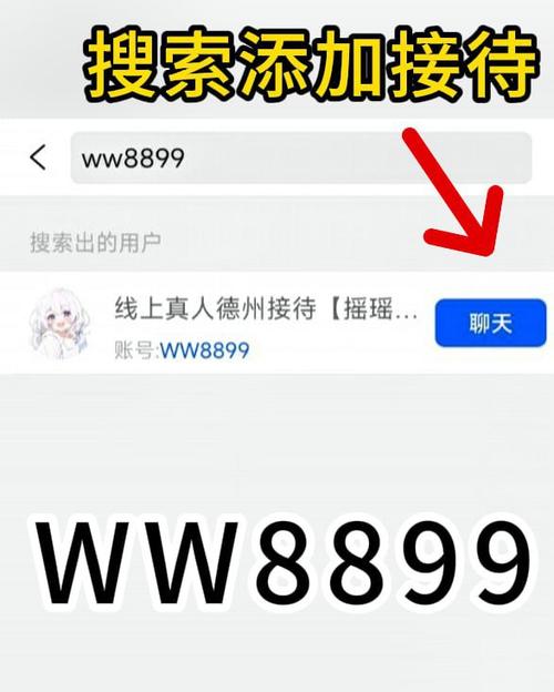 任小聊服务器gongying88