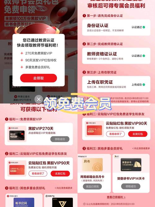 网易云音乐黑胶vip兑换码注意事项
