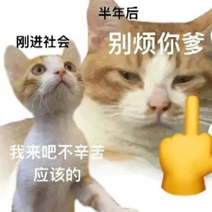 朋友圈评论恶搞超长