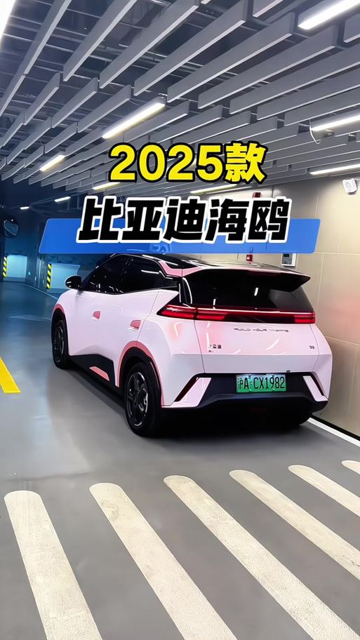 海鸥2026款报价及图片大全