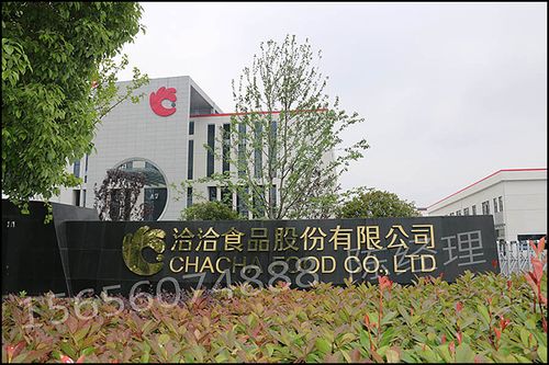 洽洽是日本控股吗