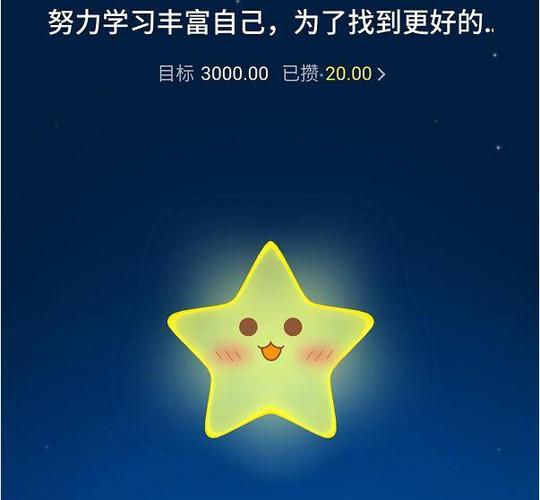 蚂蚁心愿钱不见了