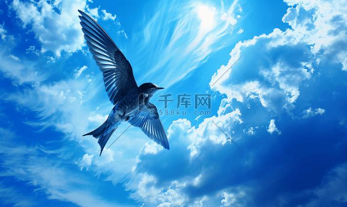 云中的鸟什么意思