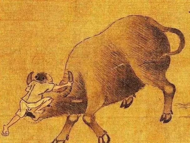 牧牛