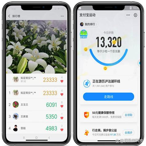 改步数软件